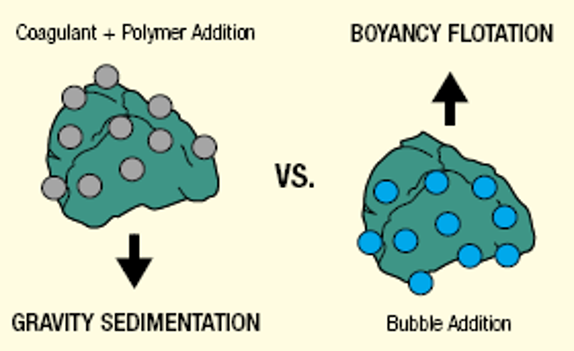 DISSOLVED AIR FLOTATION TECHNOLOGY - G.NbAF