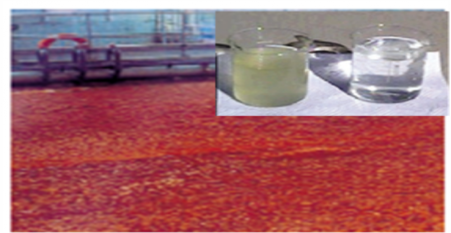 DISSOLVED AIR FLOTATION TECHNOLOGY - G.NbAF thumb