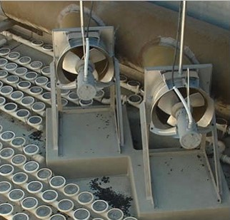 Hệ thống nội tuần hoàn