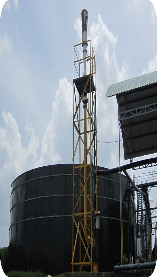 BIOGAS FLARE SYSTEM - Bio-FS