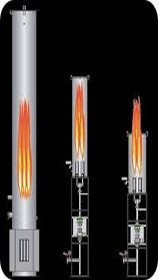 BIOGAS FLARE SYSTEM - Bio-FS